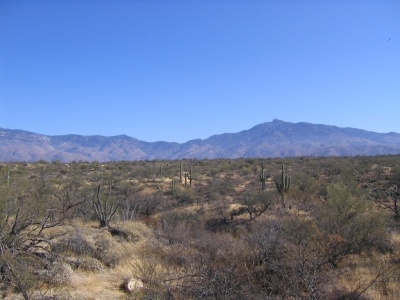 Mom and Dad's Eastern view