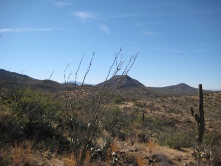 azdesert-2008.jpg