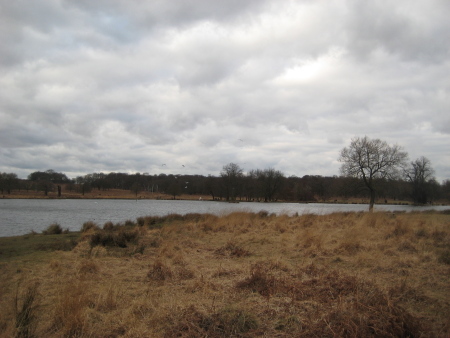 richmondparklake.jpg